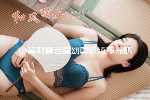 小黄鸭尊老爱幼勇敢纯净光明